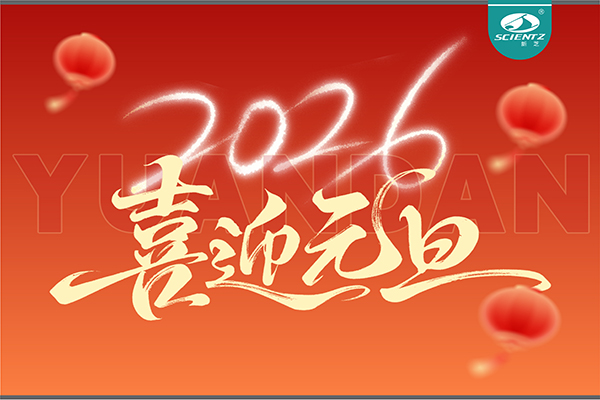 董事长周芳女士新年献词：心有定力，沐光而行