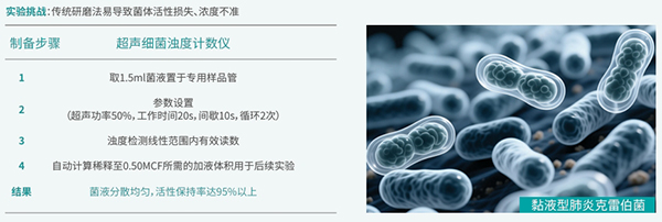 微信截图_20251121091220