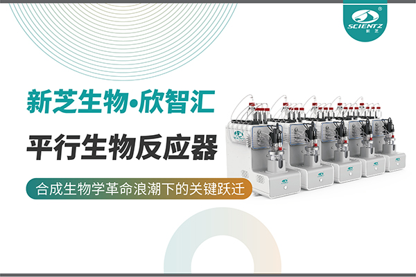 培养菌株和评估工艺参数影响太难太慢？平行生物反应器提供关键解决方案！
